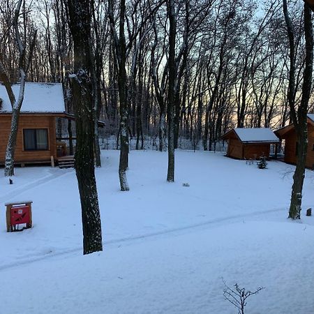 Aparthotel Gol&Wood Stepashki  Exterior foto